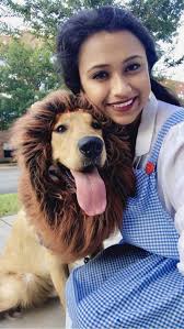 13 dogs who already have their Halloween costumes ready