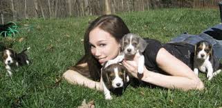 We are located in the north carolina. Sunshine Acres Nc Location Sunshine Beagle Puppies