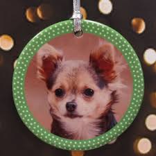 Polka Dot Green Personalized Photo Porcelain Ornament