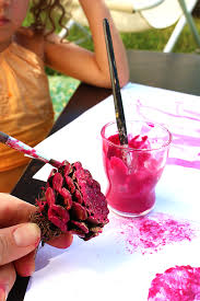 Peinture Betterave Peinture Naturelle Vegetale Peinture Naturelle Peinture Vegetal