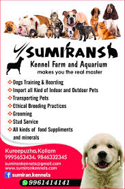We did not find results for: Sumiran Kennels Home Facebook