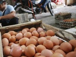 Ukuran telur temtu saja juga kecil daripada telur ayam negeri atau telur. Berita Telur Ayam Hari Ini Kabar Terbaru Terkini Liputan6 Com Page 5