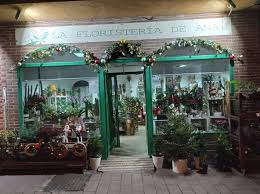 La Floristería de Ana
