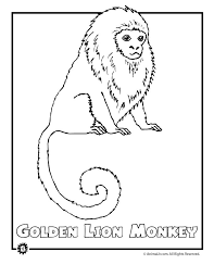 Apr 30, 2020 · these free coloring pages describe five major habitats and show a variety of animals for kids to color as they learn. Coloring Pages Of Animals In The Rainforest