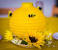 Decorative Bee Decorations