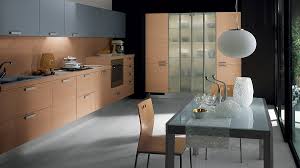 sleek modern kitchen looks like a posh