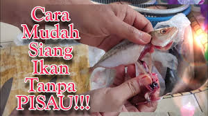Cara bersihkan ketam cara potong ketam. Cara Bersihkan Ketam Cara Potong Ketam Youtube