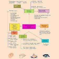 Sains peta minda tingkatan 2. Modul Sains Tingkatan 5