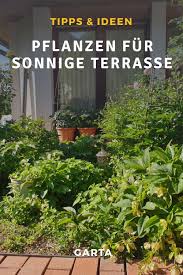 Pflanzen Tipps Fur Sonnige Terrassen Ideen Fur Bepflanzung In 2020 Bepflanzung Pflanzen Terrasse Pflanzen