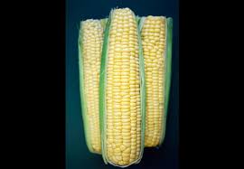 Pin On Healthy Food