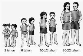 Fase Fase Masa Remaja Indotopinfo Com