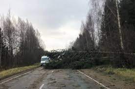 Сильнее всего от урагана пострадал город андреаполь на западе области. Uragan Proshyolsya Po Tverskoj Oblasti Padali Derevya Sryvalo Krovlyu Obshestvo Sobytiya Obshestvo Aif Tver