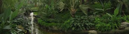上海 植物园 ) ist ein botanischer garten in den südwestlichen vororten von shanghai , china (ca. Shanghai Inside Gross Grosser Botanischer Garten
