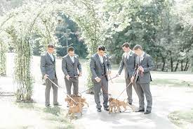 This wedding party decided to skip tradition, replacing flowers with puppies! This Wedding Party Had Rescue Puppies Instead Of Flowers To Send A Beautiful Message Bored Panda