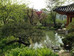 You can still create a really colourful and inspiring space using our top tips. Korean Gardens Plinth Et Al