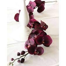 We did not find results for: Artificial Phalaenopsis Orchid Spray Mirabella Burgundy Red 4ft 115cm