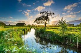 Bijzondere Locaties In Groningen Smeerling Landschappen Prachtige Landschappen Groningen