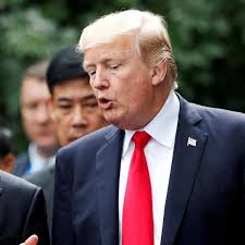 Water polo: Australian Paul Oberman appointed technical director in boost  to S'pore team