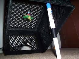 Another tactic to try is using a. Cat Trap 4 Steps With Pictures Instructables