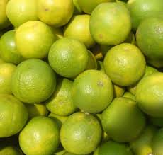 Image result for Citrus × aurantiifolia