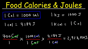 Joules Food Calories Kilojoules Unit Conversion With Heat Energy Physics Problems
