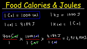 joules food calories kilojoules unit conversion with heat energy physics problems