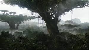 We did not find results for: Rain Forest Hd Wallpapers Wallpaper Cave
