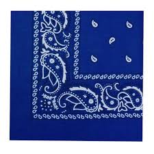 X 21 Royal Blue Paisley Bandana Ideias