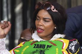 Zimbabwe arrests vice president's wife over fraud allegations