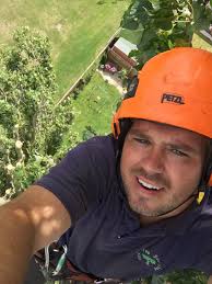 Bay Tree & Garden Services