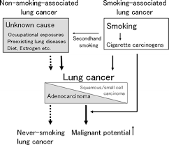 90% of deaths from lung cancer are estimated to be due to smoking. Non Small Cell Lung Cancer In Never Smokers As A Representative Non Smoking Associated Lung Cancer Epidemiology And Clinical Features Springerlink