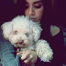 Cari Silva (@1CarinaSilva)