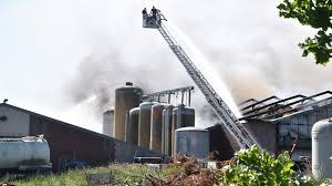 Er zijn geen personen gewond geraakt. Zo N 4600 Varkens Omgekomen Door Brand In Stal Nederweert Linda Nl