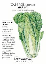 Chinese Michihili Cabbage Seeds 2 Grams Cabbage Seeds Cabbage Seeds
