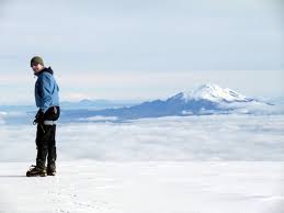 Image result for Exacum zombense