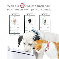 The daily amount of water that a child needs depends on factors such as age, weight and sex. A Z Water For Dogs Dehydration Drinking Too Much And Death