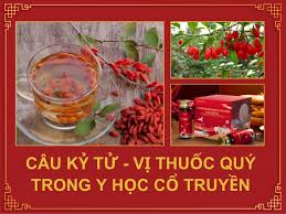 Câu kỷ tử và tác dụng của câu kỷ tử với sức khỏe - Kangmei