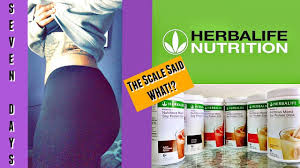 how to lose weight fast herbalife day 1 weigh in the scale said what