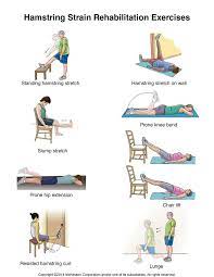 .guidelines for exercise selection in hamstring injury prevention or rehabilitation programmes. Physiological Rehabilitation Spence S Input Hamstring Recovery For Elite Sprinter