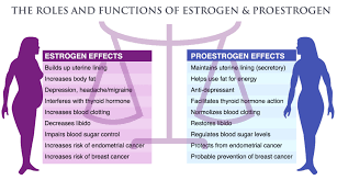 Estro Protect Coconut Health Benefits Estrogen Dominance