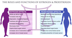 estro protect coconut health benefits estrogen dominance