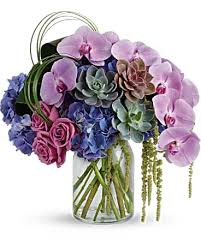 We did not find results for: Phalaenopsis Orchid Succulent Bouquet Four Seasons Flowers