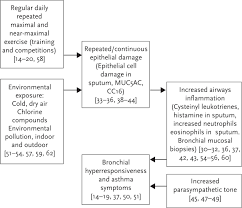 Sports or activities with bursts of activity followed by brief rest. Mechanisms Of Asthma Development In Elite Athletes European Respiratory Society