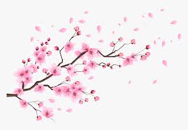 Including transparent png clip art, cartoon, icon, logo, silhouette, watercolors, outlines, etc. Cherry Blossom Petals Png Transparent Spring Cherry Blossom Clipart Png Download Kindpng