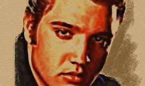 Illustrators Portfolios