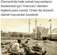 Filiz Bilgi Hayat Tarih