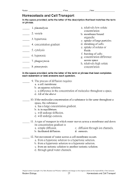 Quickly memorize the terms, phrases and much more. Homeostasis And Cell Transport