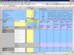 How To Make A Diet Plan With Excel Demo Video Part 1