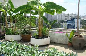 When planning a balcony garden, it's good to know the what you can get away with in your building. Creative Ideas To Make Your Balcony Garden More Attractive Sambad English