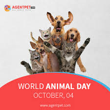 World Animal Day In 2020 Pet Day City Pets Pets Online